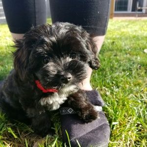 Meet your Posher, Deanna